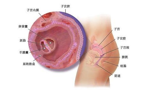 子宫内膜增厚的原因是什么